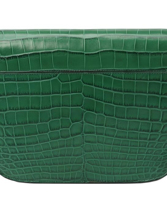 Celine-Box-crocodile-green-bac