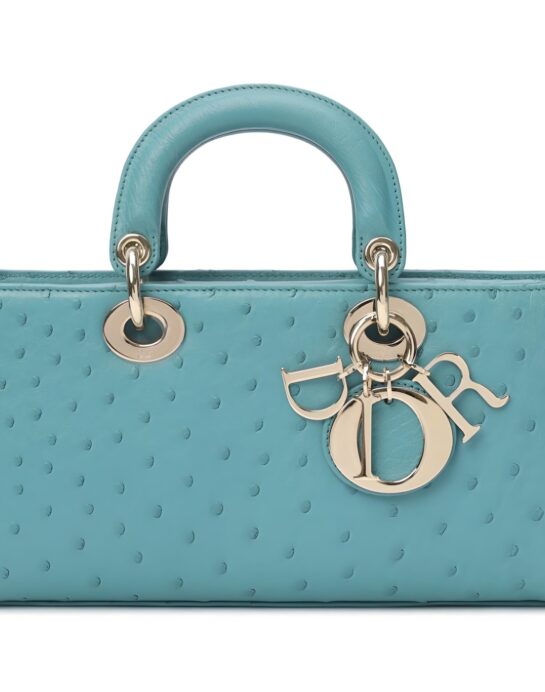 Dior-d-joy-ostrich-turquoise