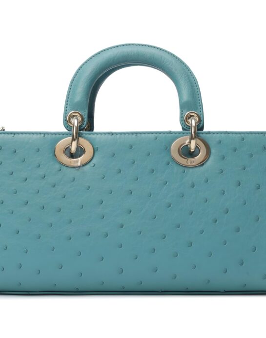 Dior-D-joy-ostrich-turquoise-back