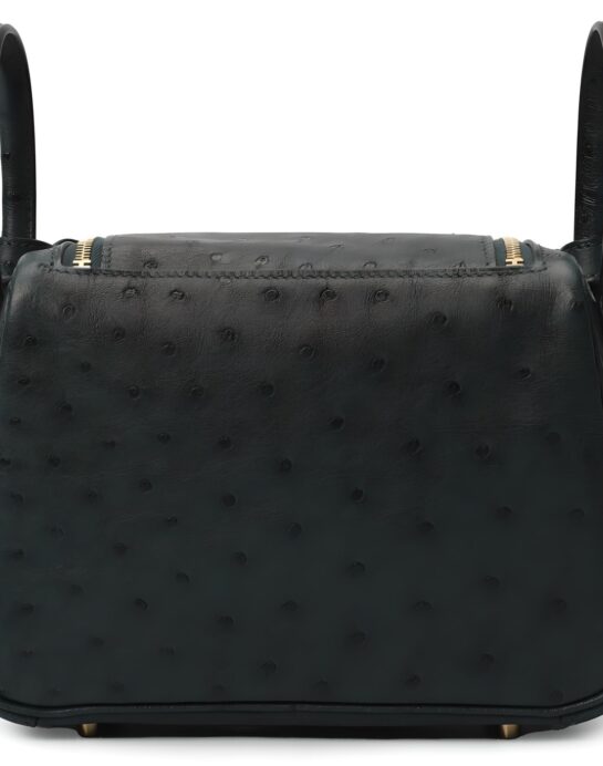 Hermes-Lindy-ostrich-black-back