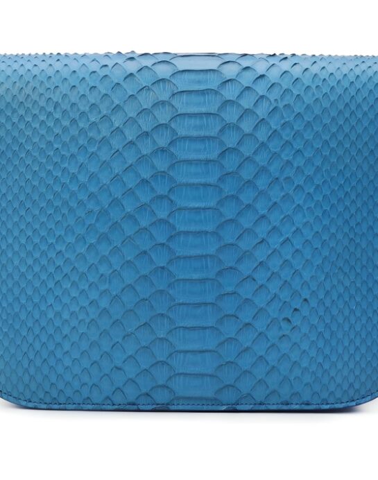 Celine-Box-python-blue-back