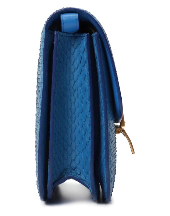 Celine-Box-python-blue-side