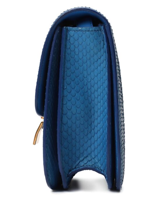 Celine-Box-python-blue-side