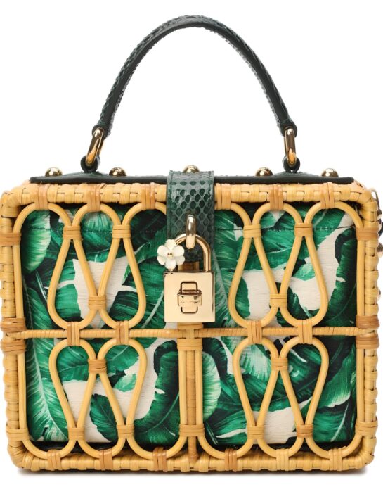 Dolce-Gabbana-Box-python-multi