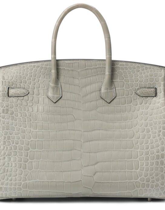 Hermes-Birkin-35-Crocodile-grey-back