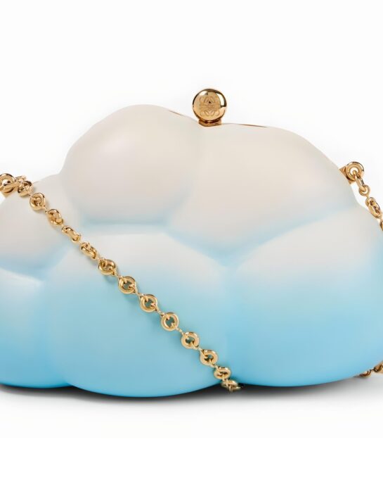 Loewe-Cloud-clutch-leather-white-blue