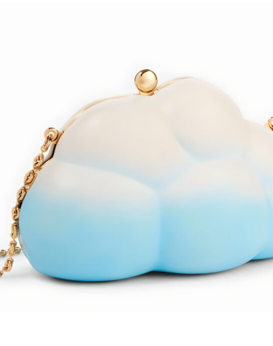 Loewe-cloud-clutch-leather-white-blue-back