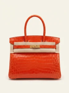 Birkin 30
