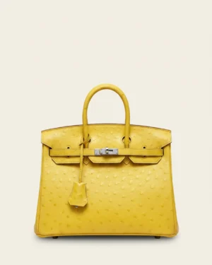 Birkin 25